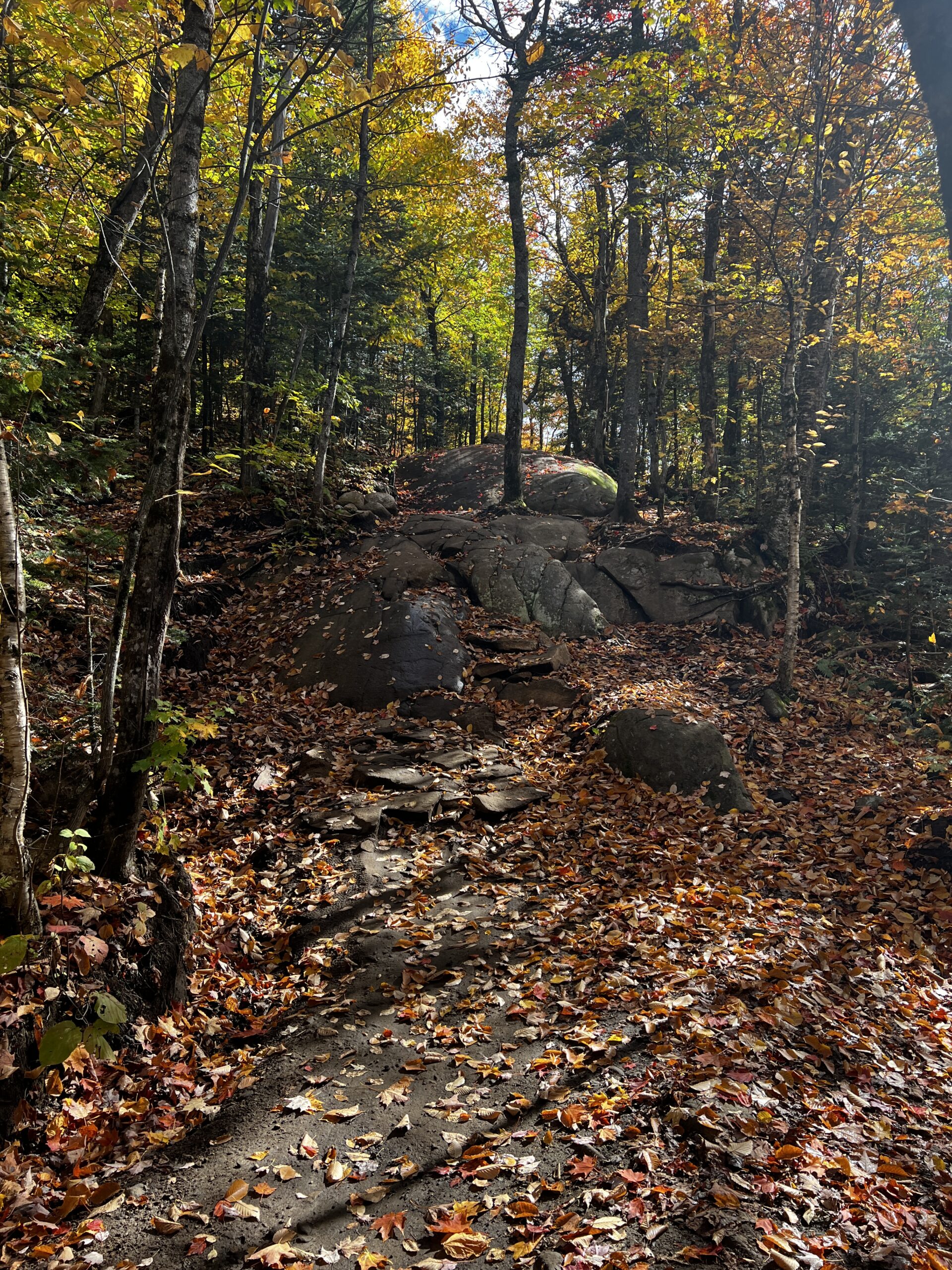 A rocky woodland trail covered with fallen leaves beneath yellow and green autumn foliage.